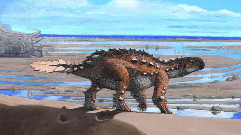Dunera dinosaur found with unusual limbs