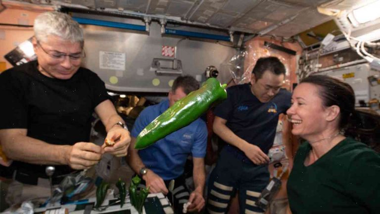 Astronauts create ‘Space Perfume’ from peppers in ISS